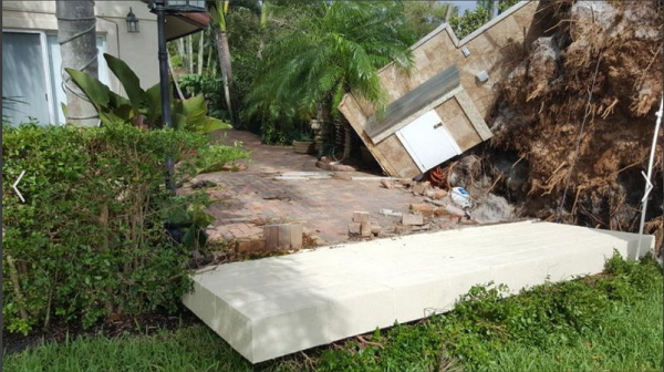 Eddys tree uproot_003
